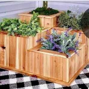 Tiered wooden planter box with lush green plantings