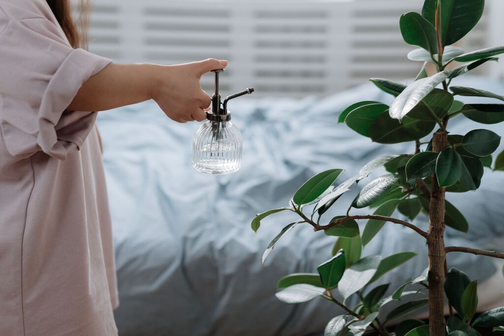 Watering a potted plant near a bedroom window